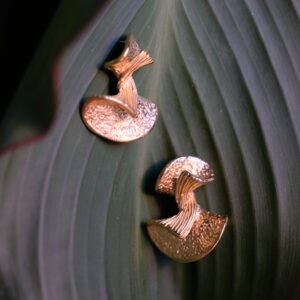 Brincos Aura - Image 1