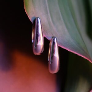 Brincos Vitta Prateado - Image 1